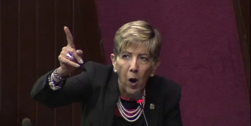 Senadora Bournigal: “Presidente, el ministro que no sirva, quítelo y punto”